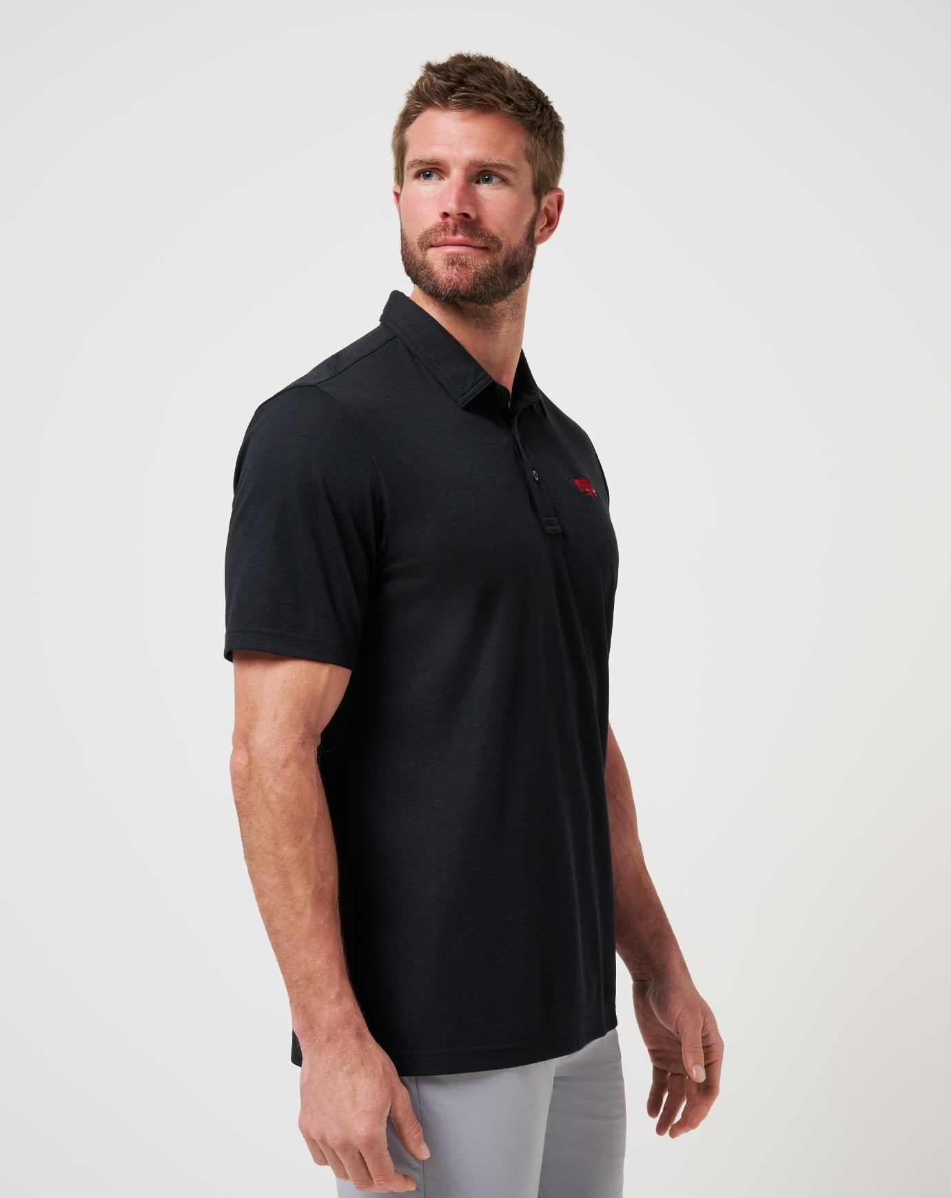 Game Day|New Arkansas School Pride Polo