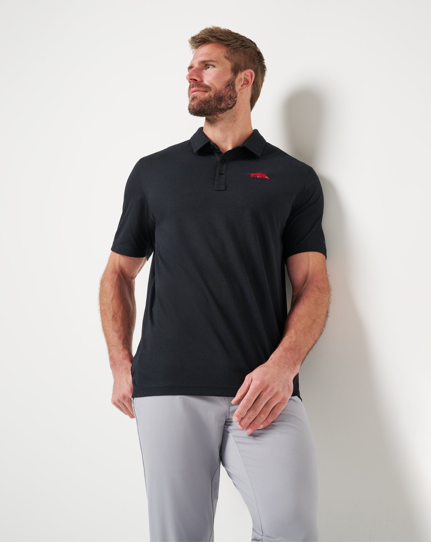 Game Day|New Arkansas School Pride Polo